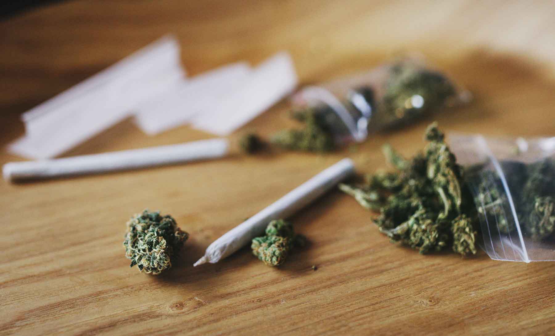 Cannabis 101: Joints vs. BluntsPost Image