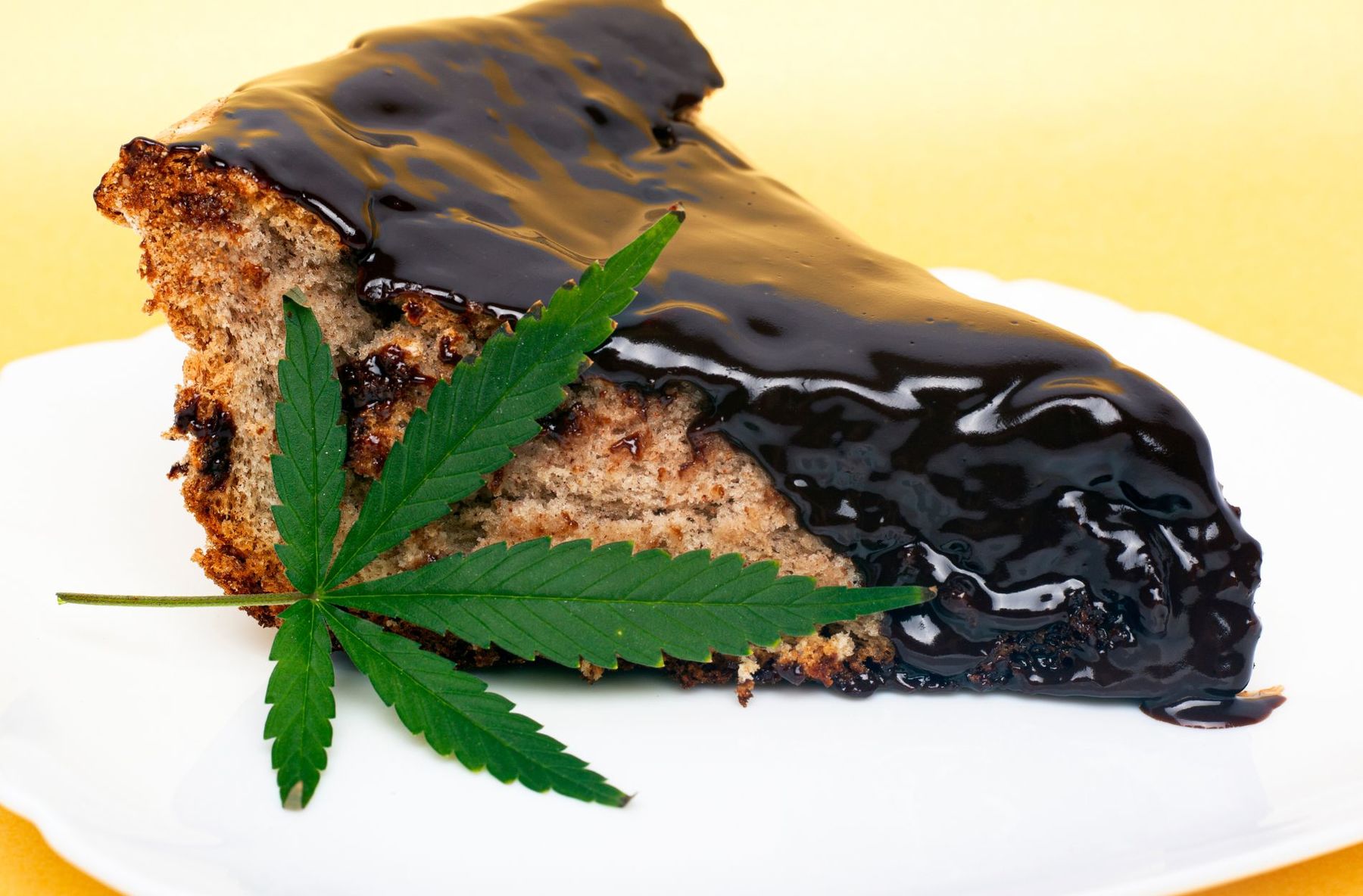 cannabis edibles