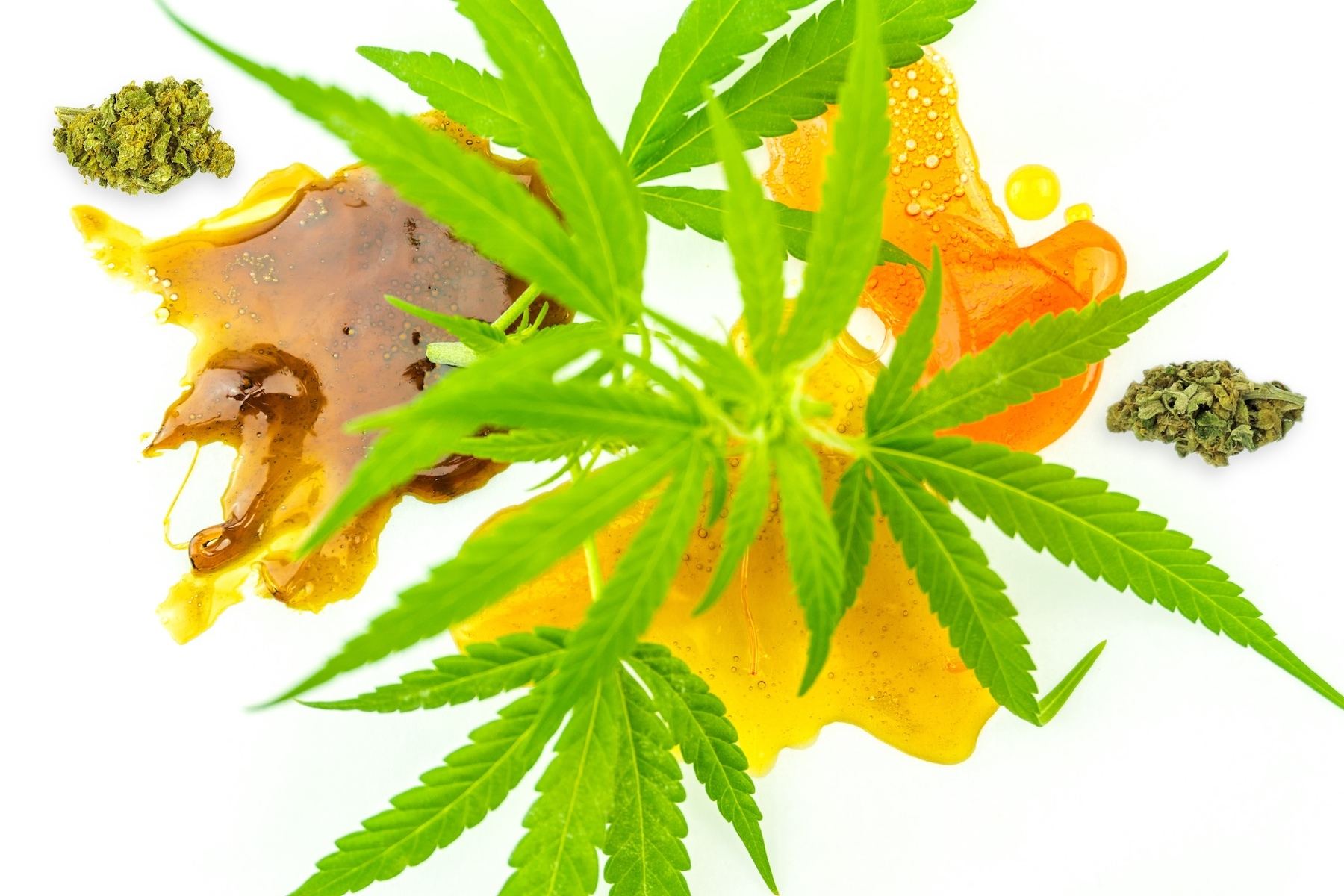 cannabis concentrate